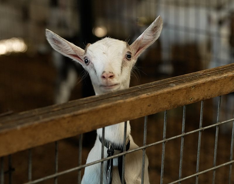 Slide Desktop 1 of 3