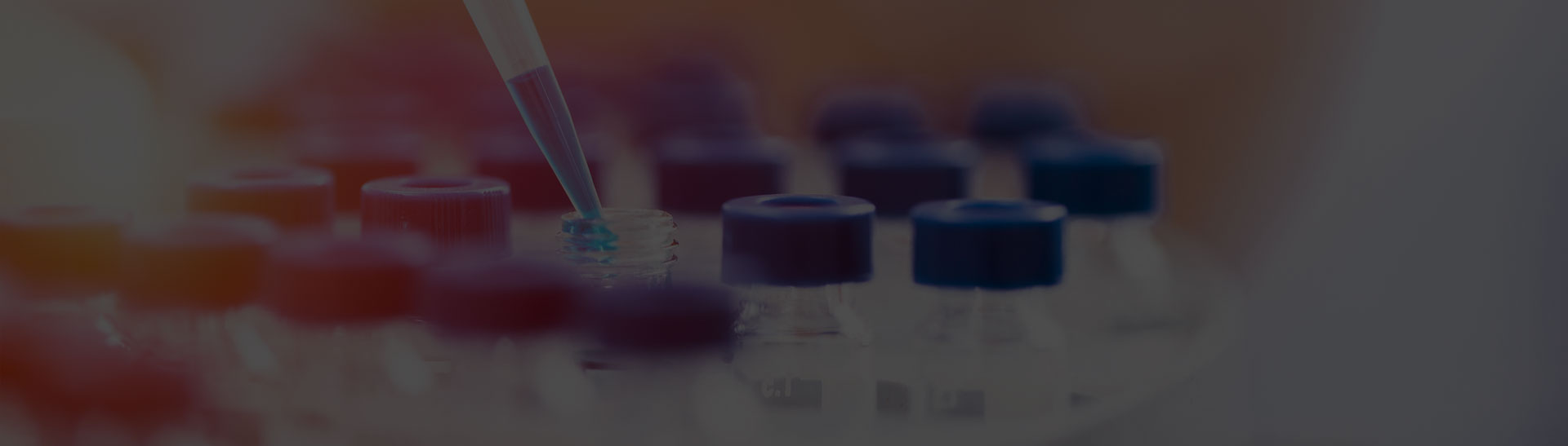 Slide Desktop 2 of 3