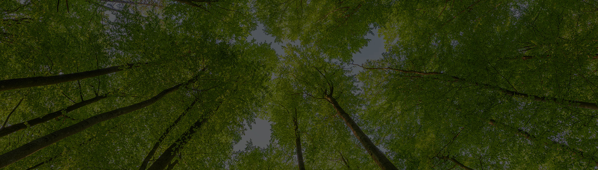 Slide Desktop 2 of 6