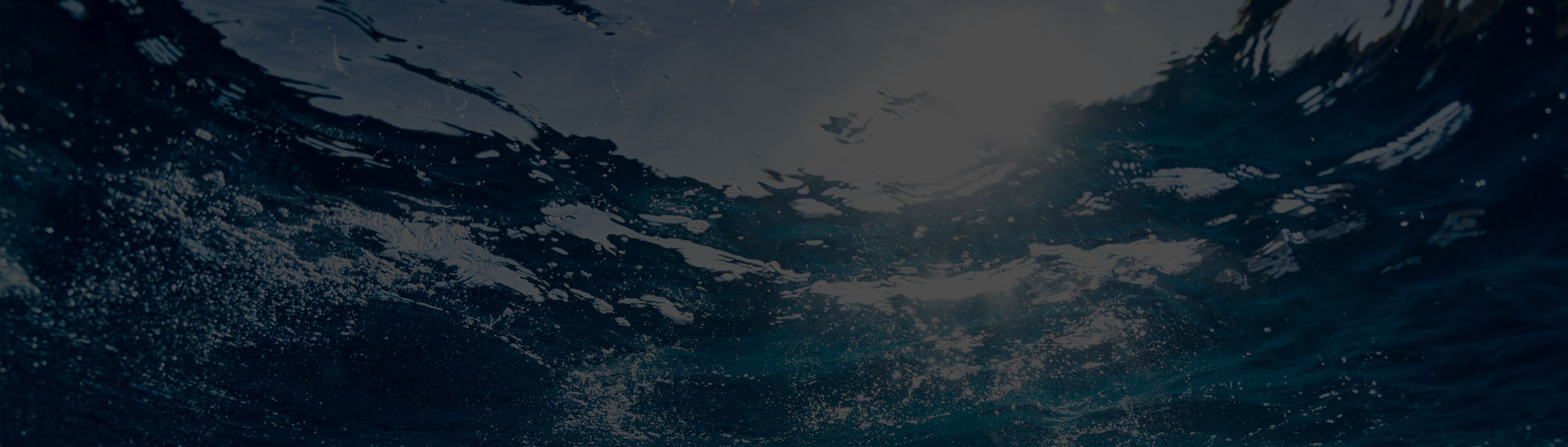 Slide Desktop 1 of 3