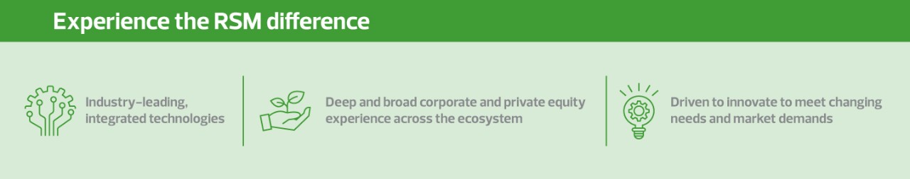 Experience RSM- Strategic finance and financial planning and analysis